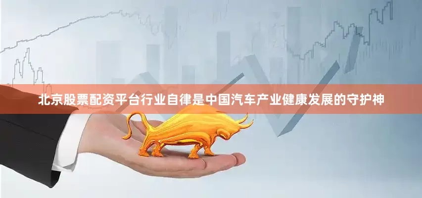 北京股票配资平台行业自律是中国汽车产业健康发展的守护神