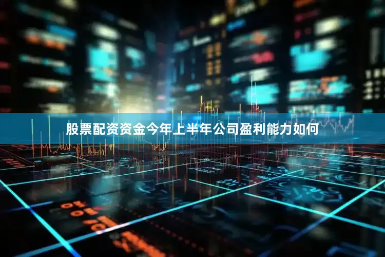 股票配资资金今年上半年公司盈利能力如何