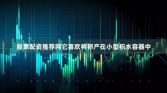 股票配资推荐网它喜欢将卵产在小型积水容器中