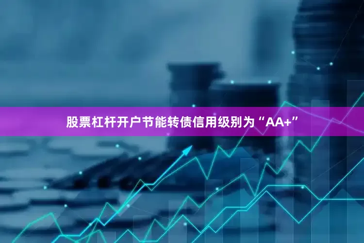股票杠杆开户节能转债信用级别为“AA+”